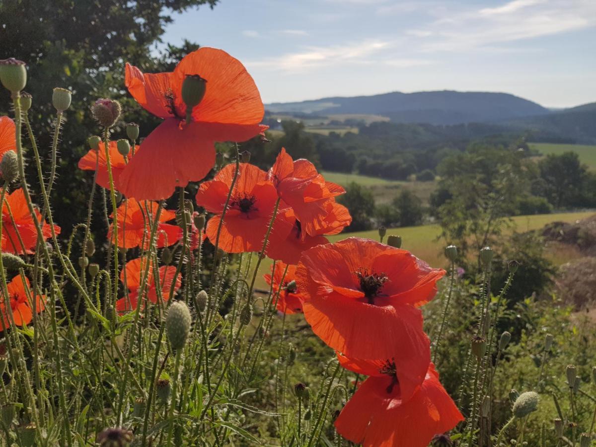 Vakantieappartement Achat Duitsland Wirschweiler Dış mekan fotoğraf